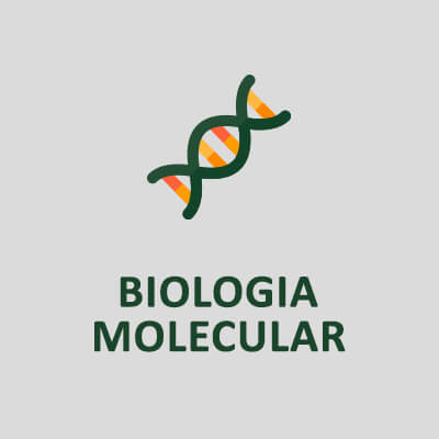 BIOLOGIA MOLECULAR